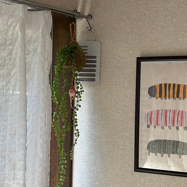 canetteさんの部屋