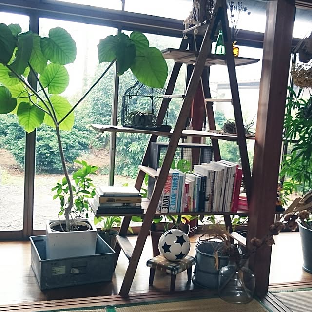 takenさんの実例写真