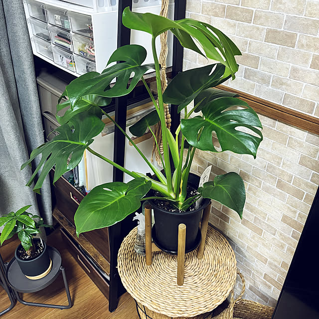 aki68さんの部屋