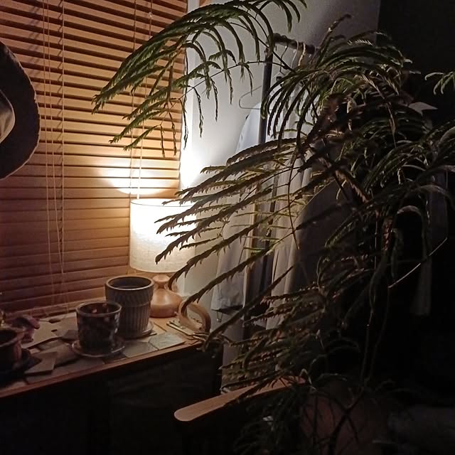 tamachan235さんの実例写真