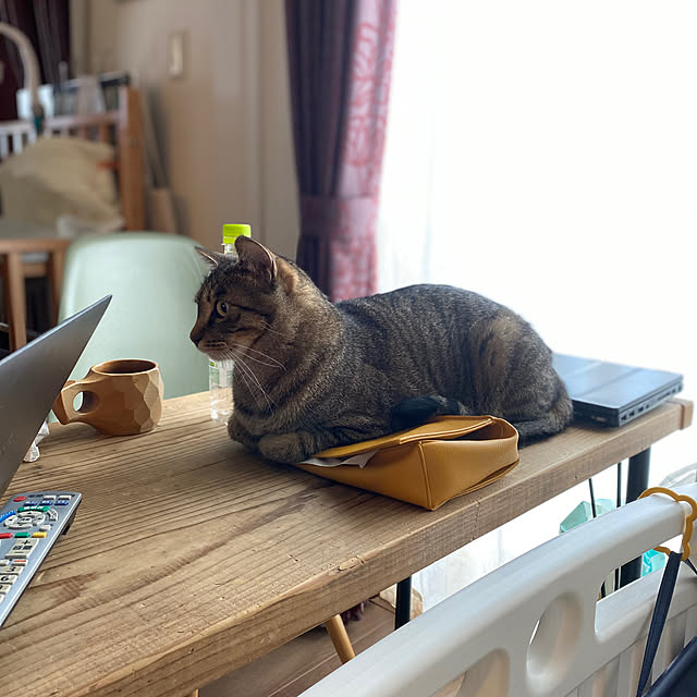 mikomaruさんの実例写真
