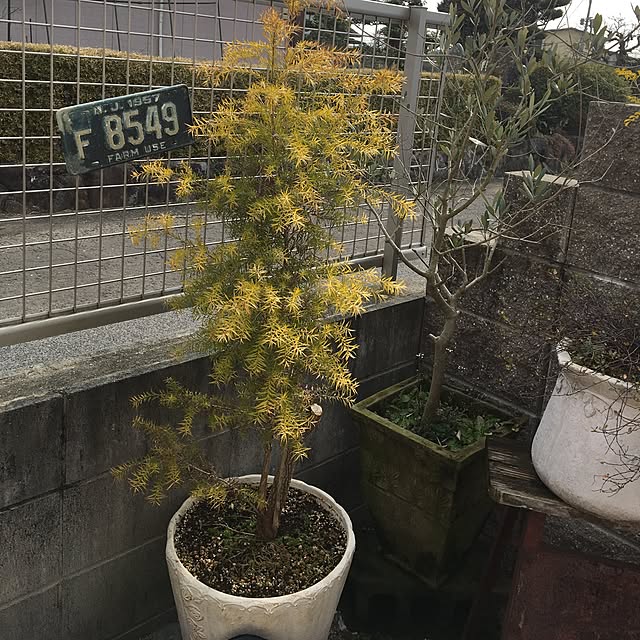 sanw2225719さんの実例写真