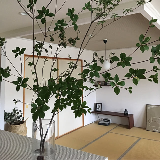 pinopinoさんの実例写真