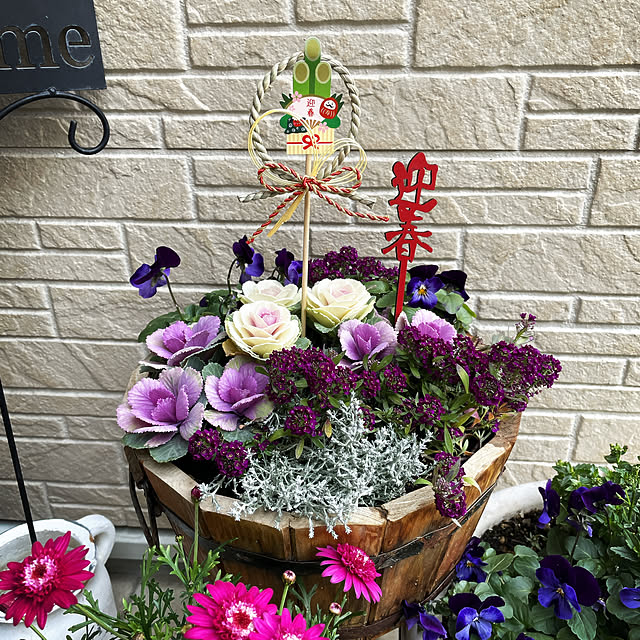 寄せ植え 現品23 葉牡丹 お年賀 お歳暮 お正月飾り 春まで咲く 寄せ植え 現品23 葉牡丹 お年賀 お歳暮 お正月飾り 春まで咲く