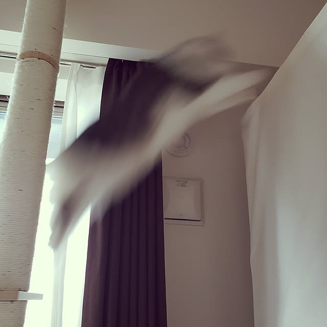 mofさんの実例写真