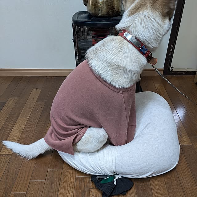 asaさんの実例写真