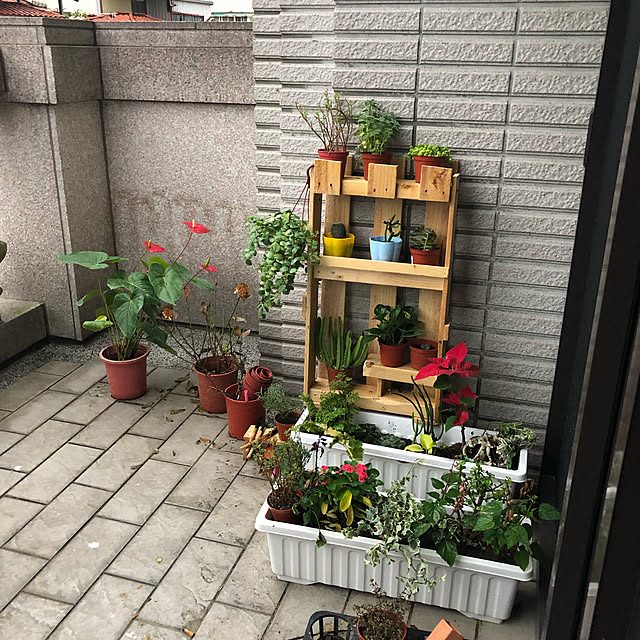 ShiaoYiさんの実例写真