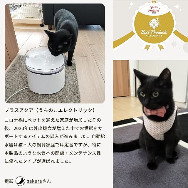 sakuraさんの実例写真