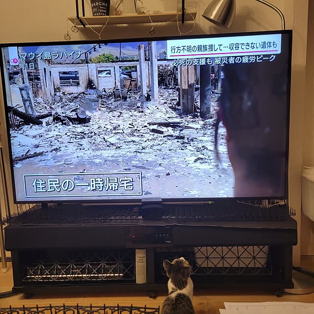 akimameさんの実例写真