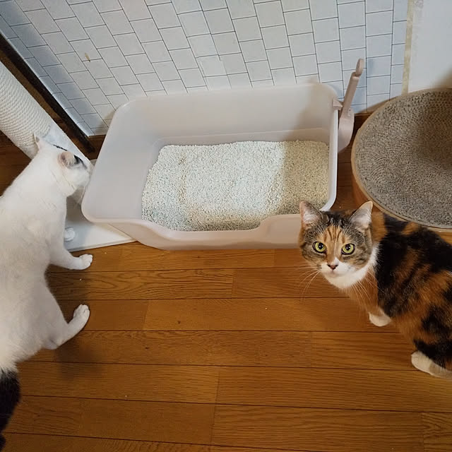 yukieさんの実例写真