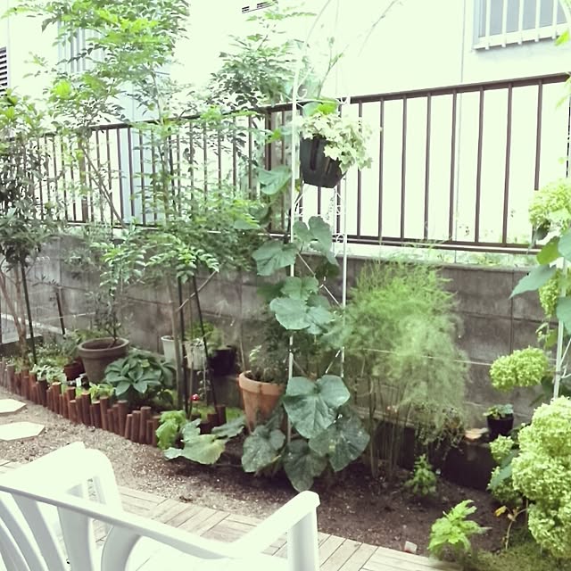 mintさんの実例写真