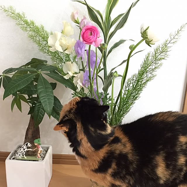 meguchiyoさんの実例写真