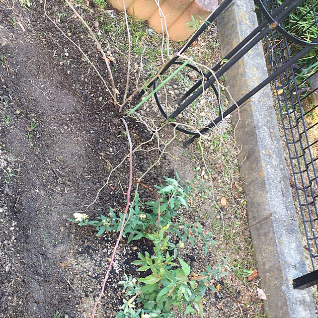yumさんの実例写真