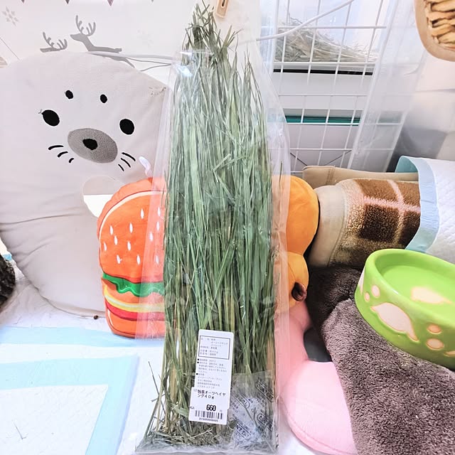 mariaさんの部屋