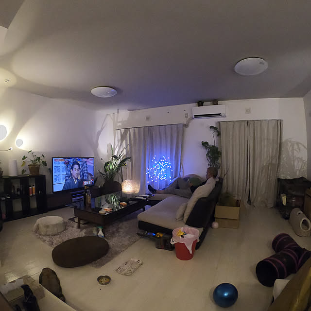 観葉植物/一人暮らし/照明/部屋全体のインテリア実例 - 2019-10-09 21:31:19