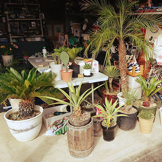 ot-gardenさんの実例写真