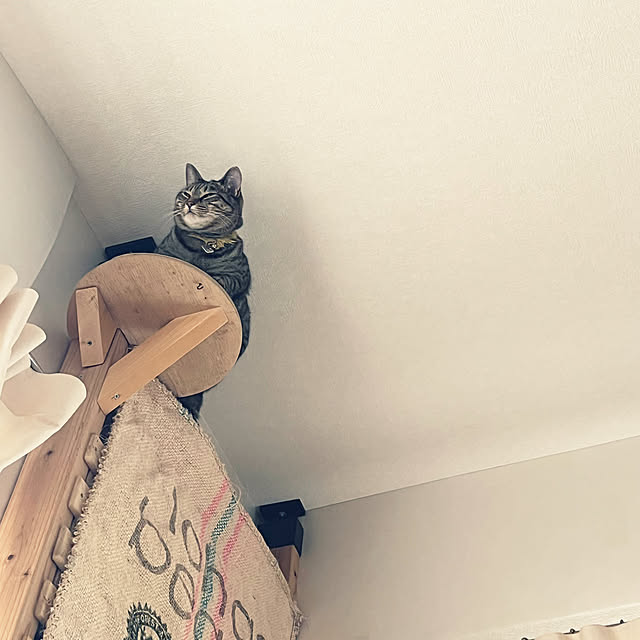 Mさんの部屋