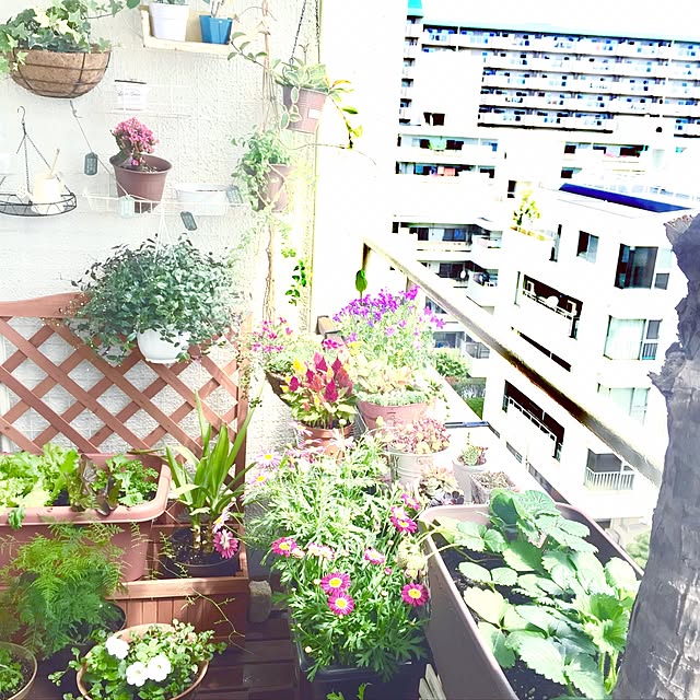 miyapp.hiroppさんの実例写真