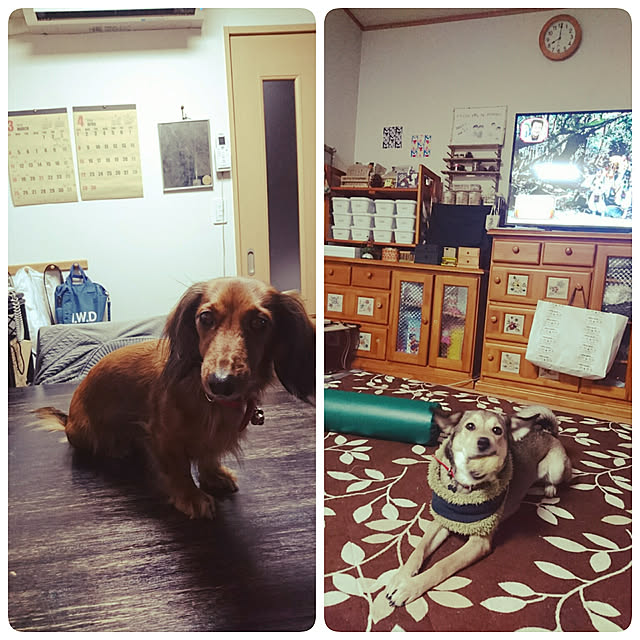 andさんの実例写真