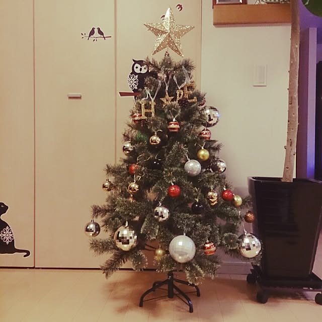 cherryさんの実例写真