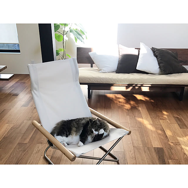 tongarihouseさんの実例写真