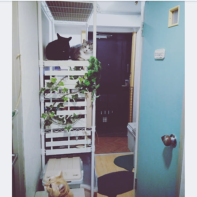 mntcさんの実例写真