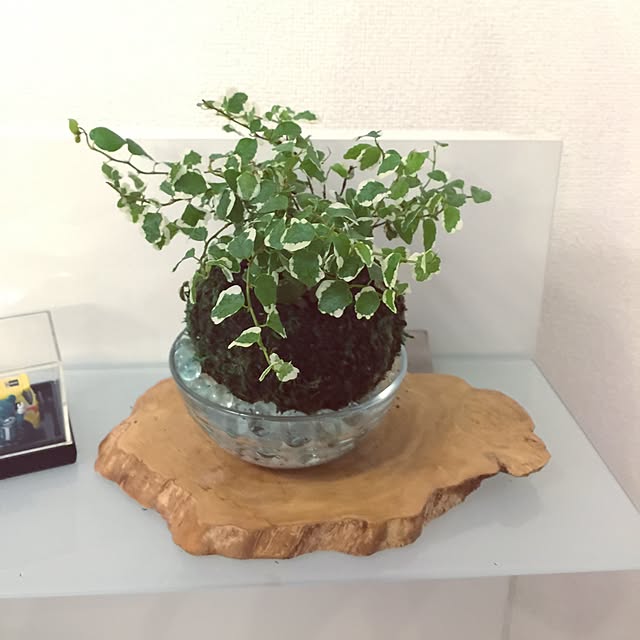 jnjnforesterさんの実例写真