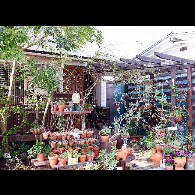 butachanさんの部屋