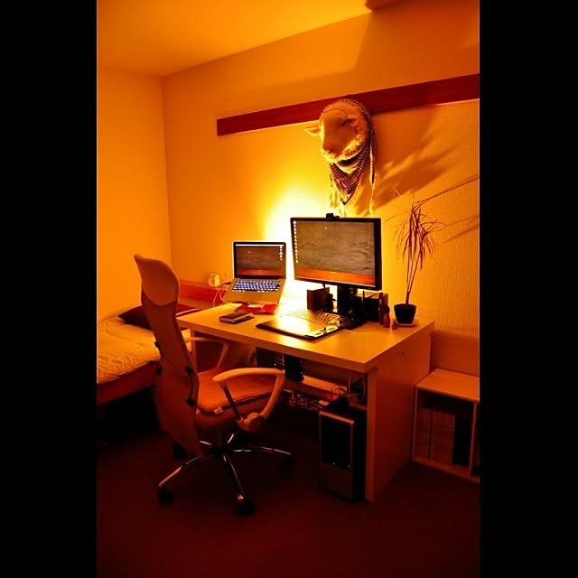 Kazuhiroさんの実例写真
