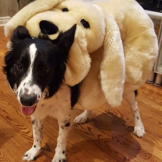 Sherryさんの実例写真