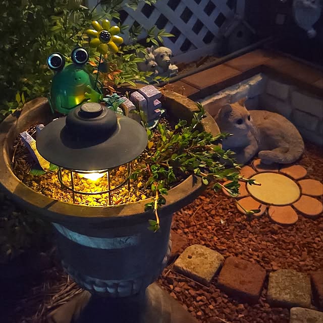 saayaさんの実例写真