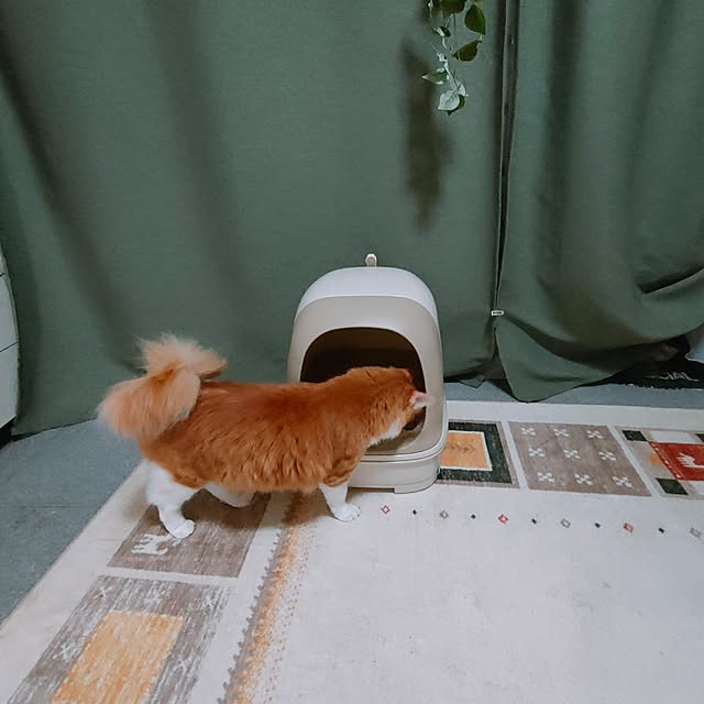 mori_6_12さんの部屋