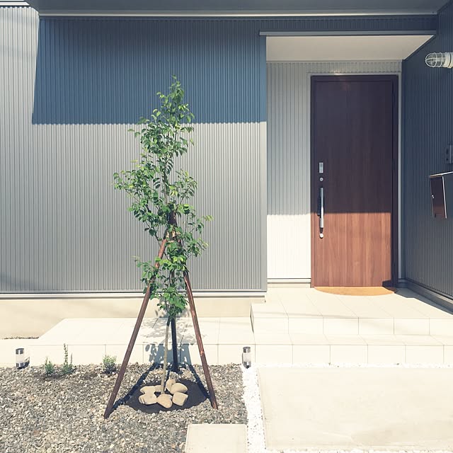 KotoRiさんの実例写真