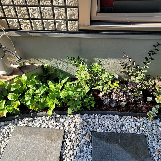 JASMINEさんの部屋