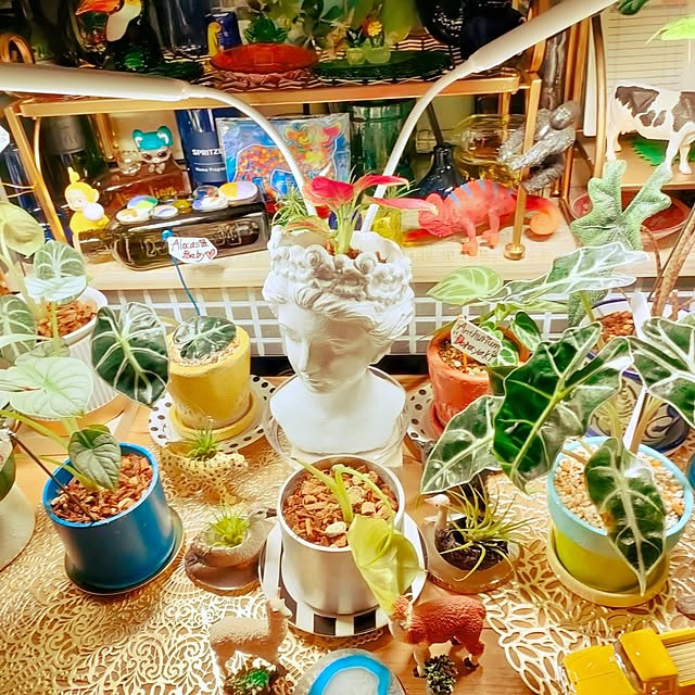 実例写真