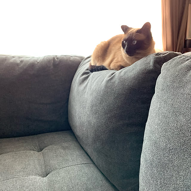 shi622さんの実例写真