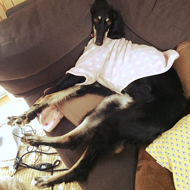amihimeさんの実例写真