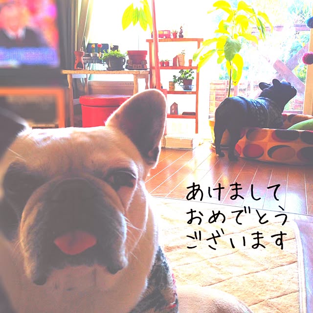 38coreさんの実例写真