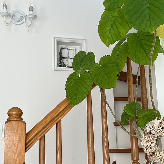 Blanc_et_grisさんの実例写真