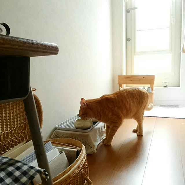 mayutan.さんの実例写真