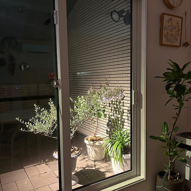 ayutaxさんの部屋