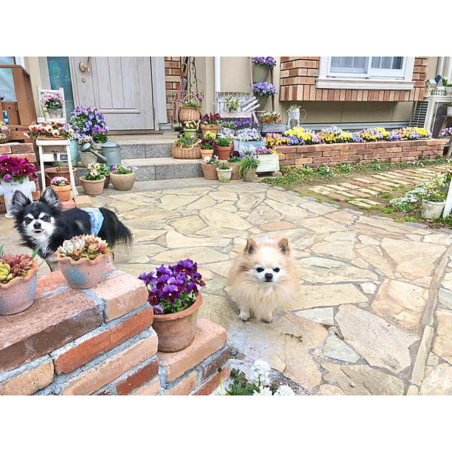 ponさんの実例写真