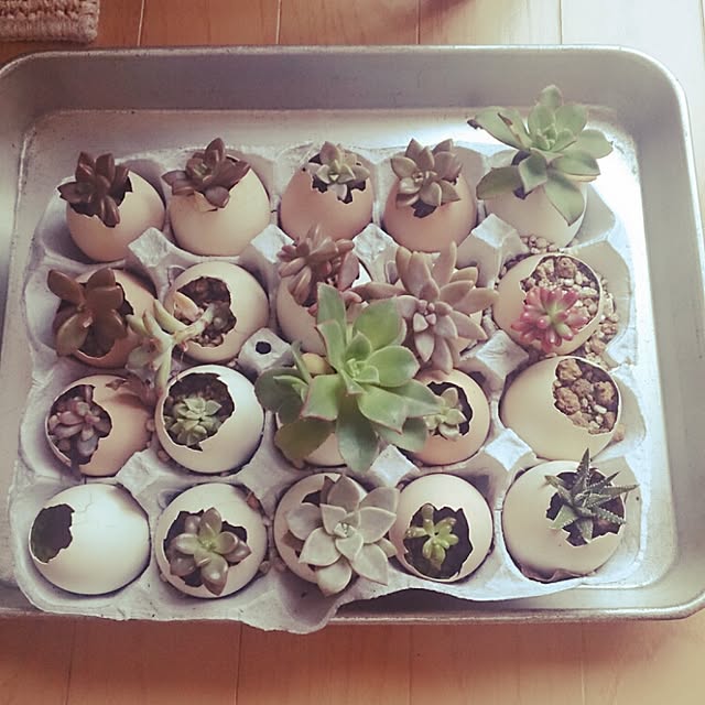 yumifuuさんの実例写真