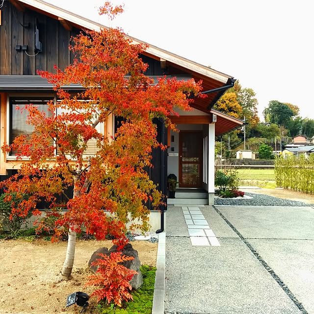 hiraya2015さんの実例写真