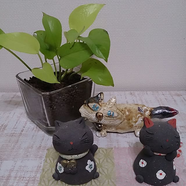 higupyonnさんの実例写真