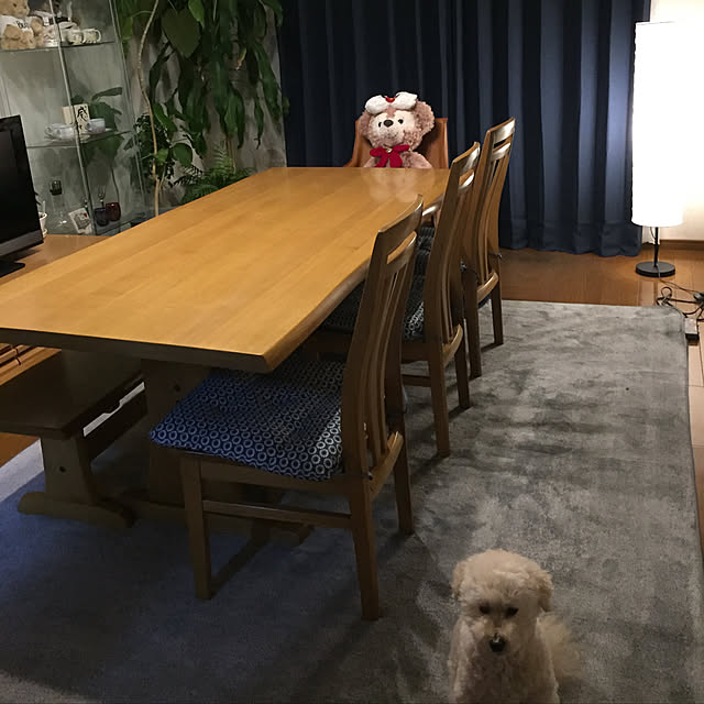 toy poohさんの実例写真