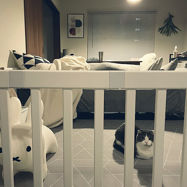 tansukeさんの実例写真