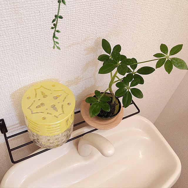 mer_0mさんの実例写真