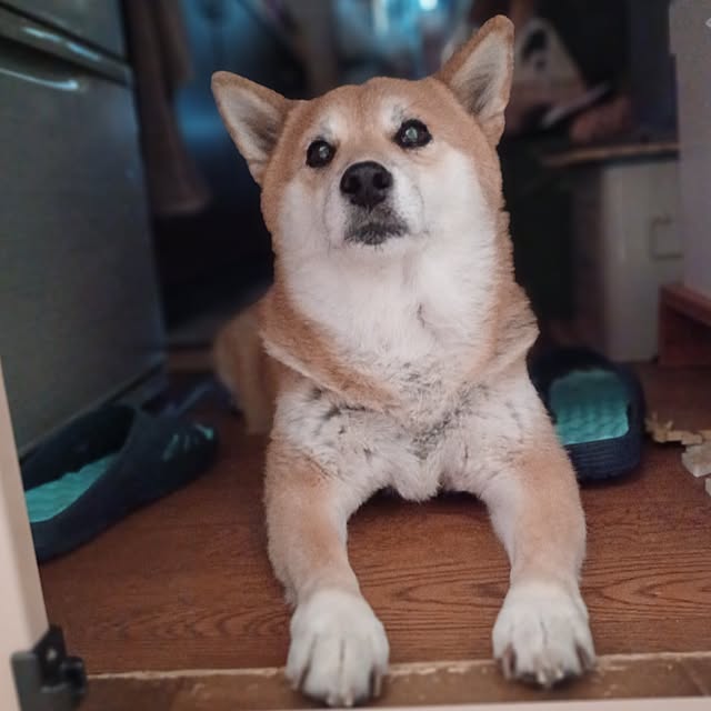 nanaさんの部屋