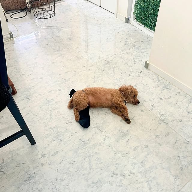 MOMOMAMAさんの実例写真